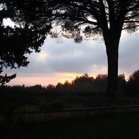 Bed and Breakfast Ai Cipressi Salemi Exterior foto