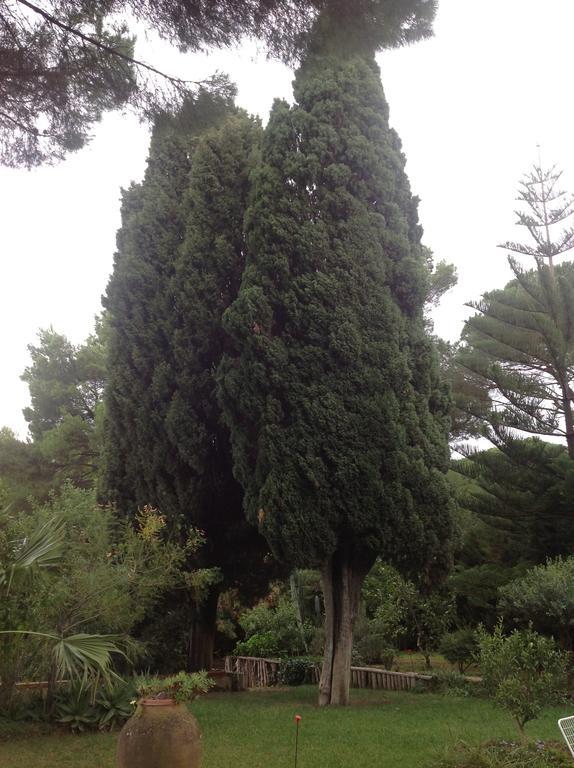 Bed and Breakfast Ai Cipressi Salemi Exterior foto